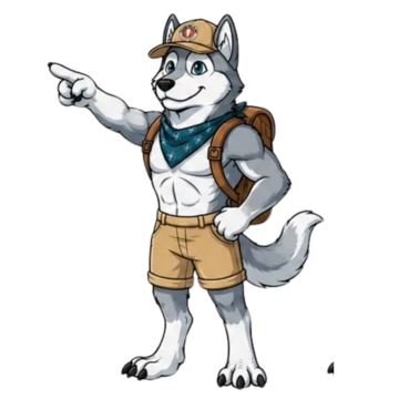 Dash pointing