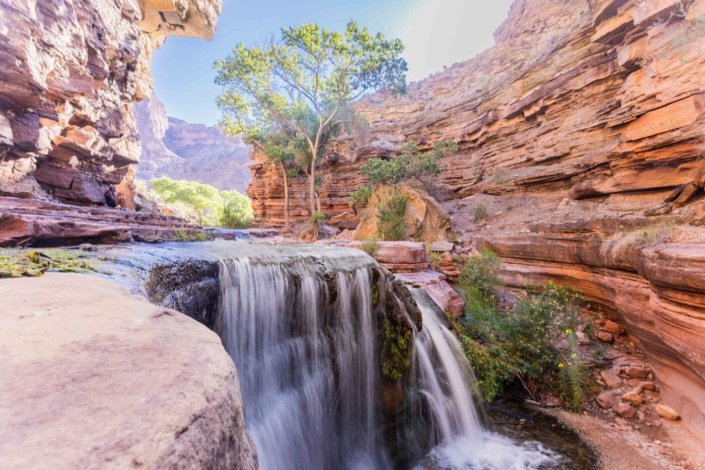A sunlit sandstone slot canyon with autumn shrubs along the route into Deer Creek