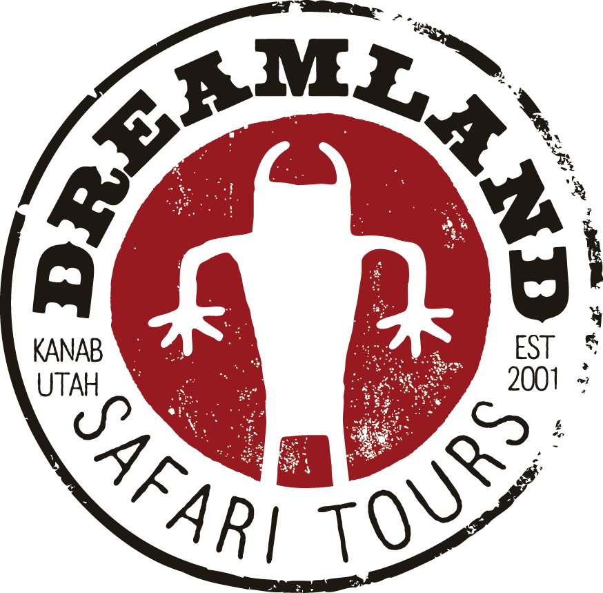 Dreamland Safari Tours