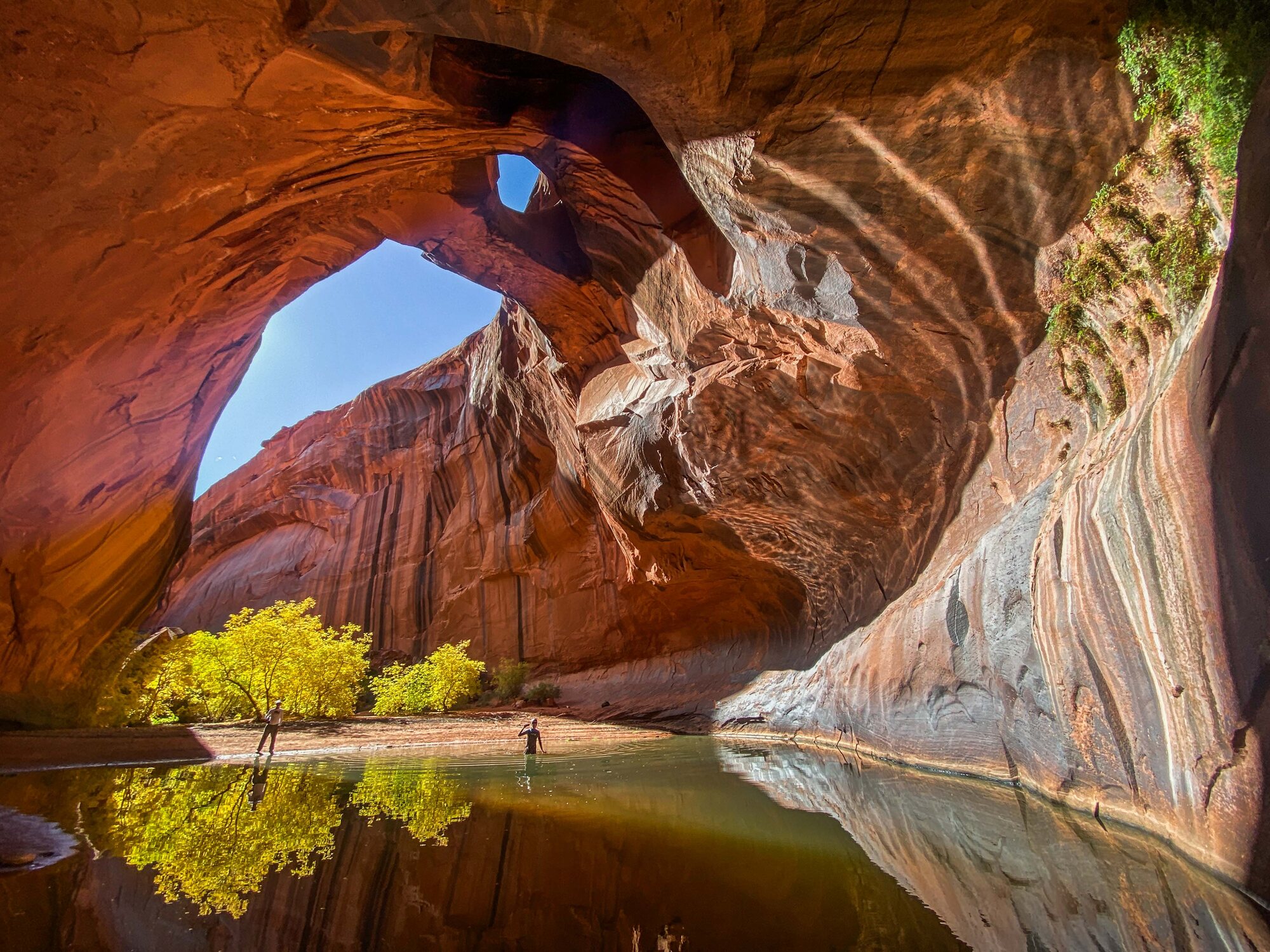 The Golden Cathedral — the arch open to the sky, a golden cottonwood, and the whole chamber mirrored in the still pool
