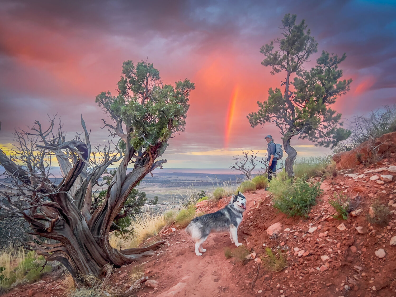 A rainbow at sunset over the Vermilion Cliffs, a hiker and dog on the red-dirt Mansard trail