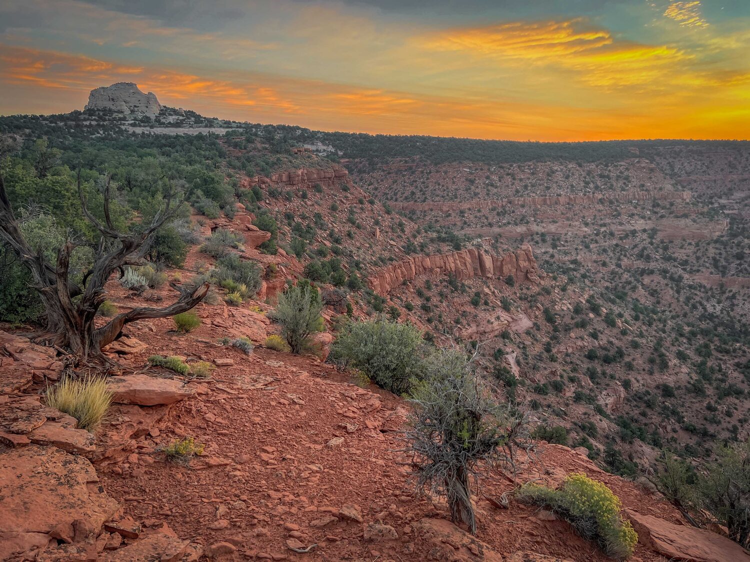 Golden-hour light over the Vermilion Cliffs and canyon country from the Mansard bench