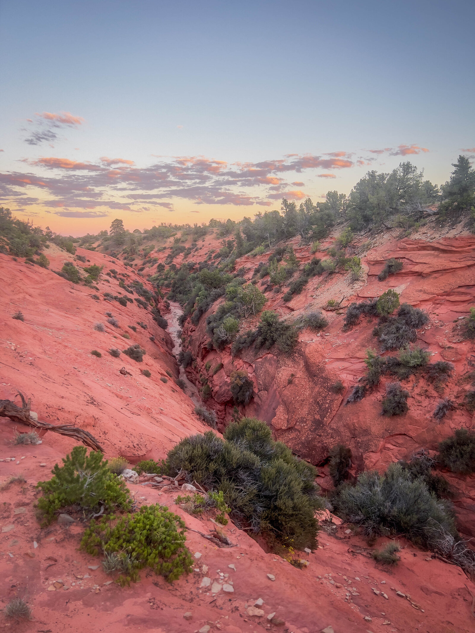 Open slickrock and desert on the cross-country stretch above the Peekaboo dryfall