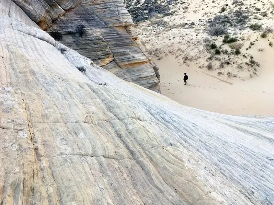 The long way in